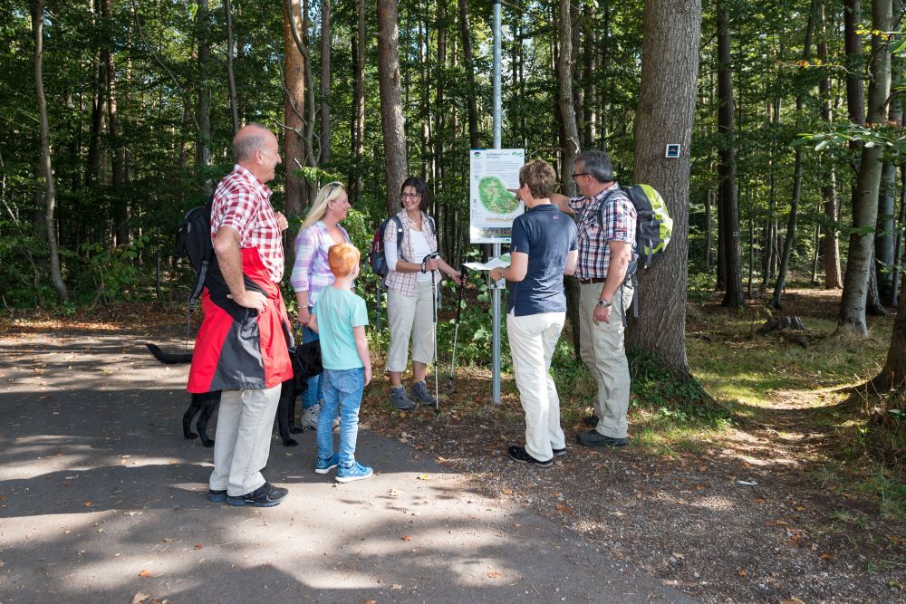 Familie steht vor einer Infotafel im Wald.