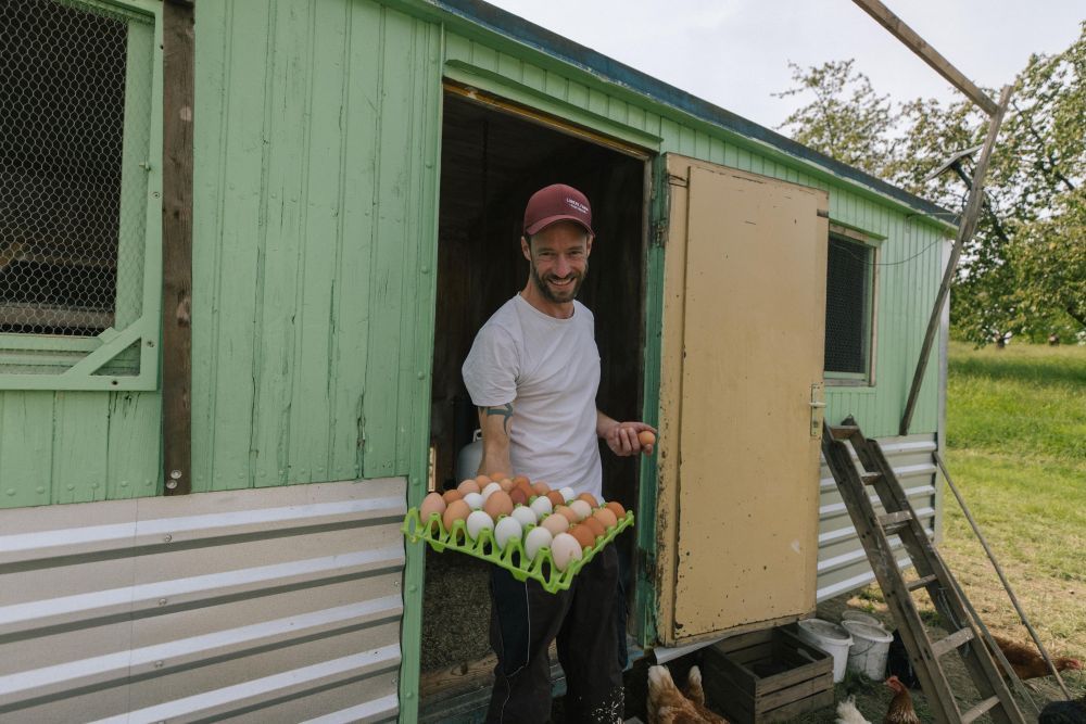 Johannes steht in der Tür zum mobilen Hühnerstall und hält einen Karton mit Hühnereiern in der Hand.