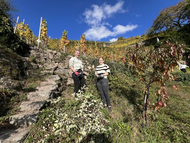 Zwei Frauen stehen vor einer Trockenmauer im Weinberg.