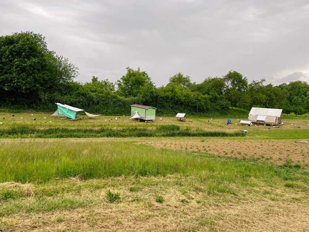 Ställe der Freilandhühner