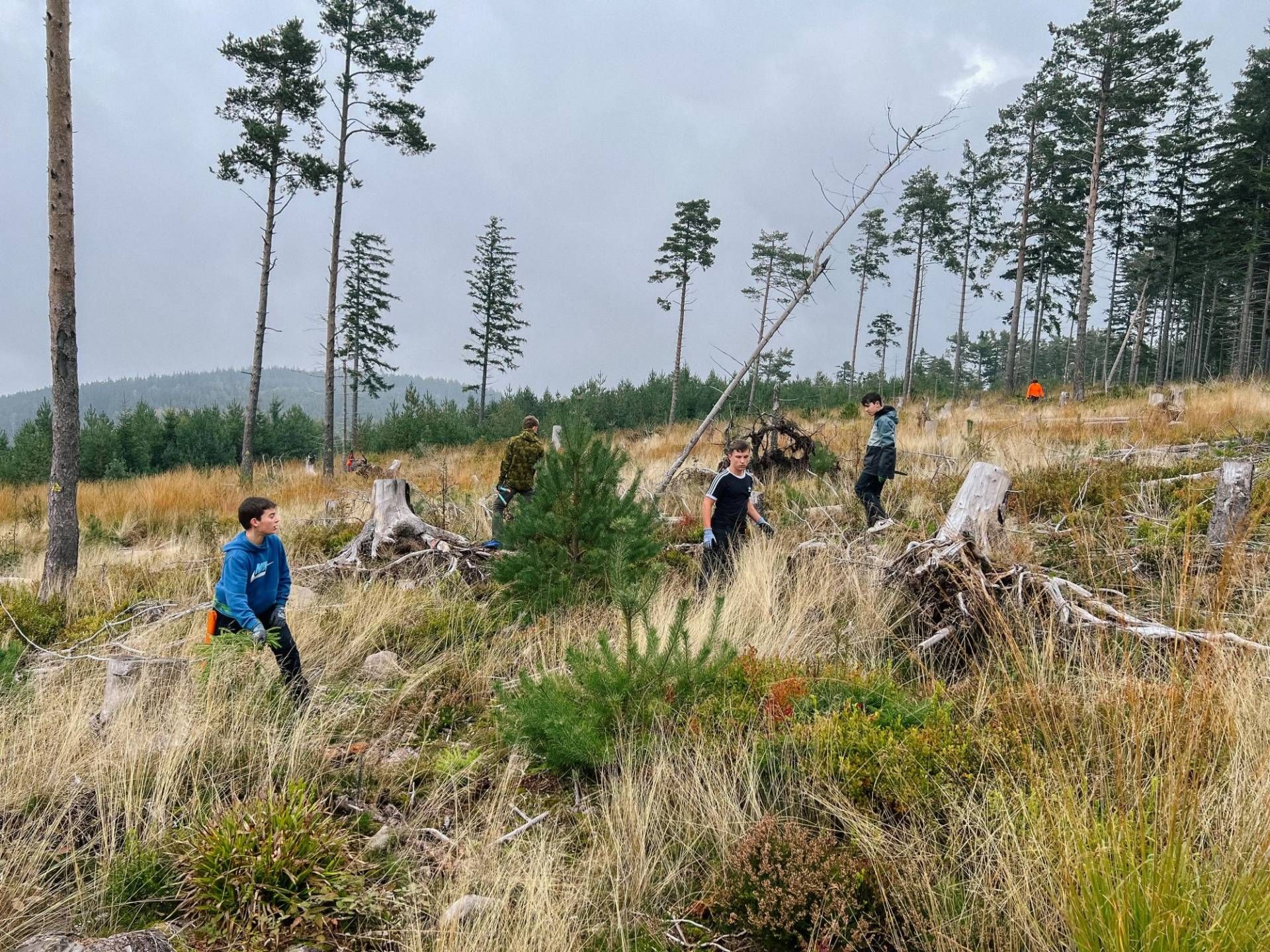 Ehrensache Natur in Baden-Baden, Foto: Yvonne Flesch