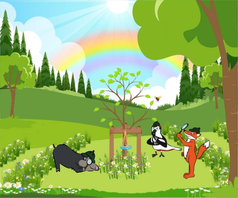 Die drei Naturpark-Detektive erforschen mit Lupen eine Wildblumenwiese. Am Himmel ist ein Regenbogen zu sehen.