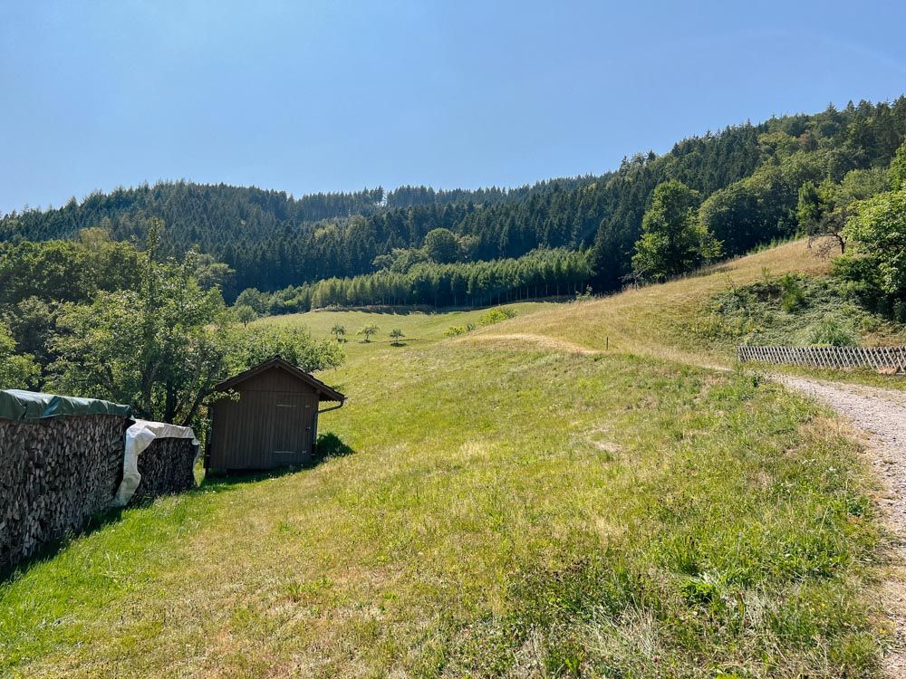 Wiese und Wald mit Hütte und gestapelten Holzscheiten