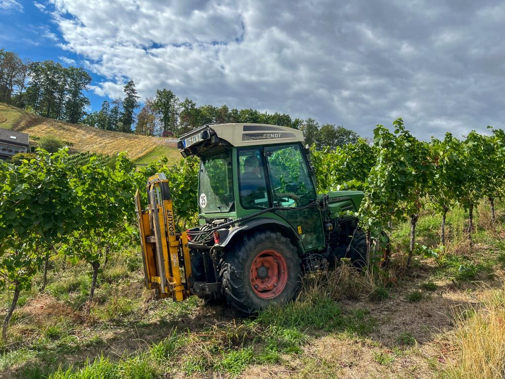 Traktor in Weinreben