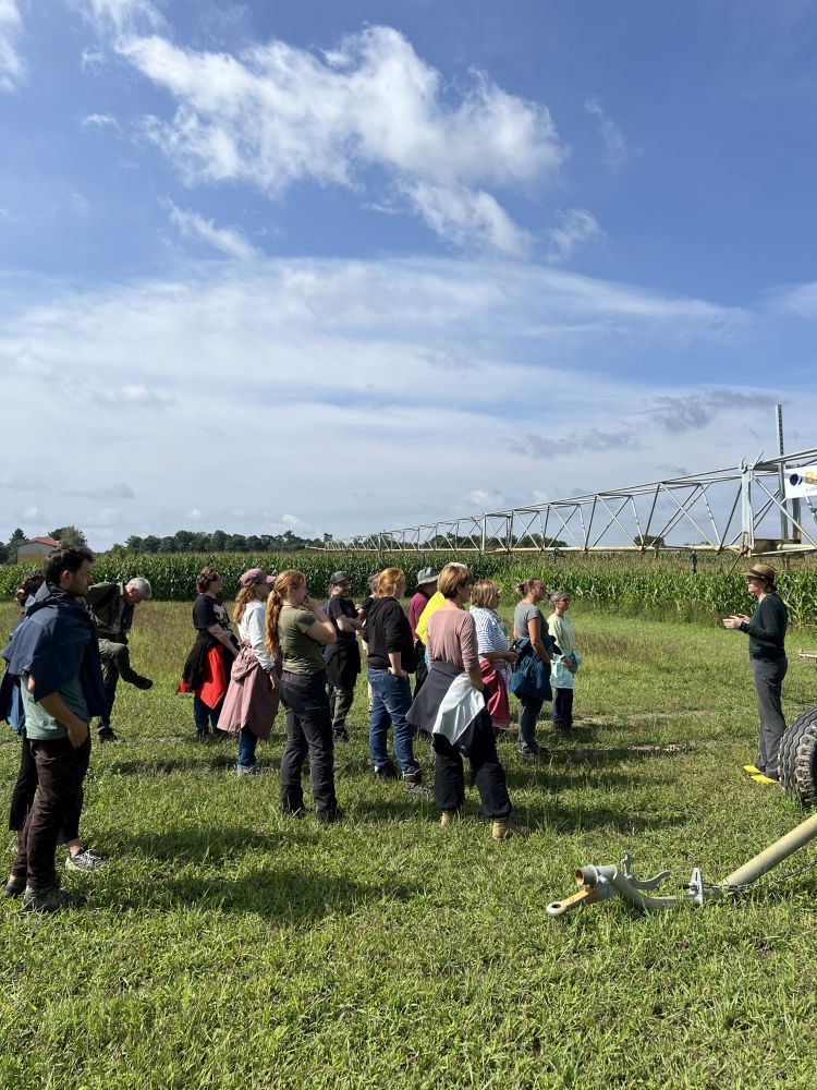 Menschen auf einem Feld