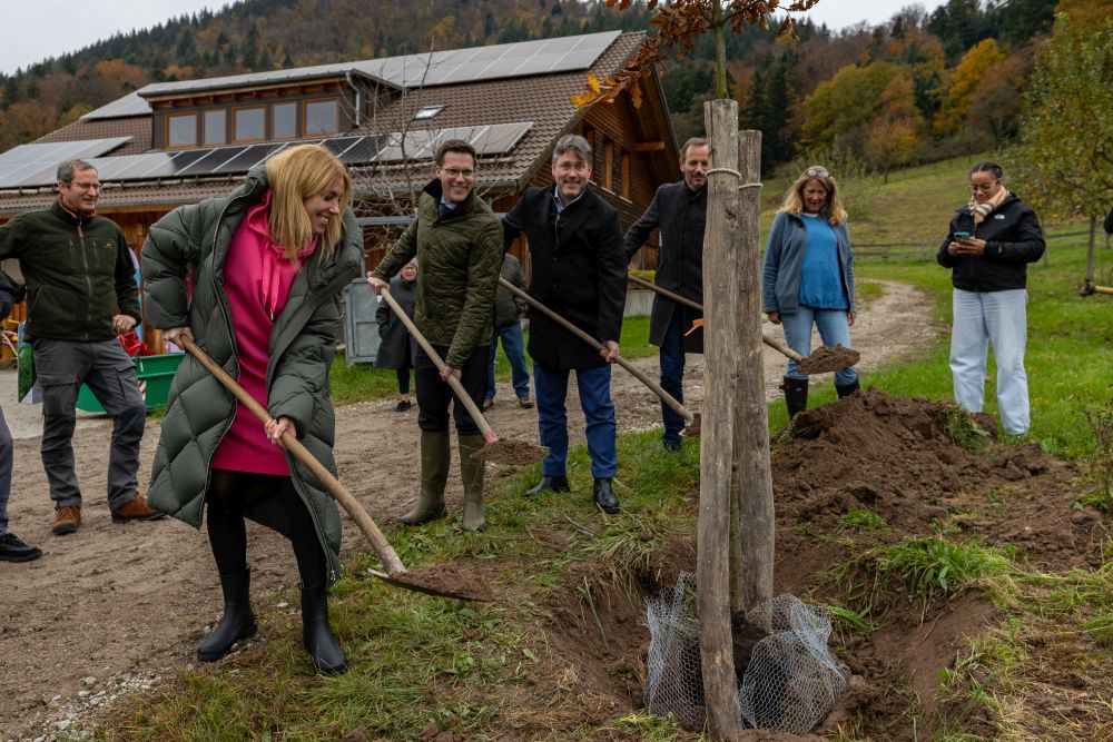 Menschen pflanzen einen Baum auf einem Hof.