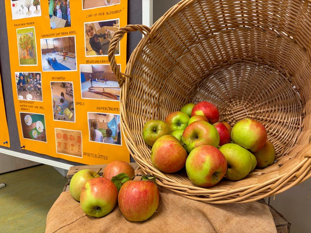 Apfelkorb mit Plakat eines Naturpark-Projekts im Hintergrund