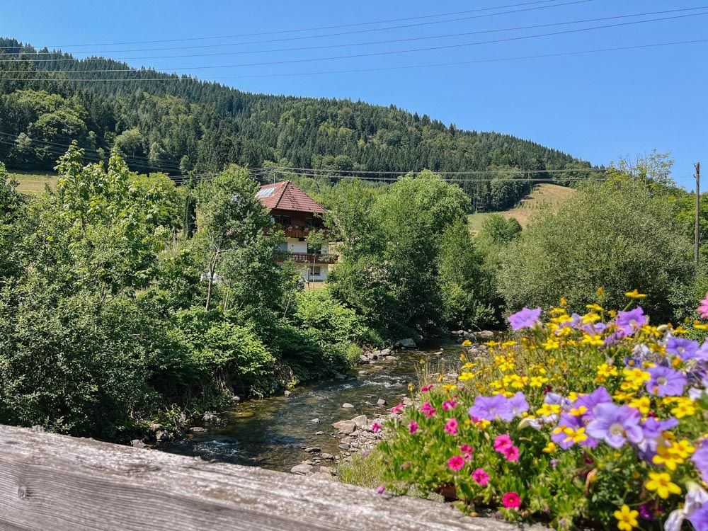 Fluss Wolf von einer Brücke fotografiert mit Blumen im Vordergrund und Hof im Hintergrund.