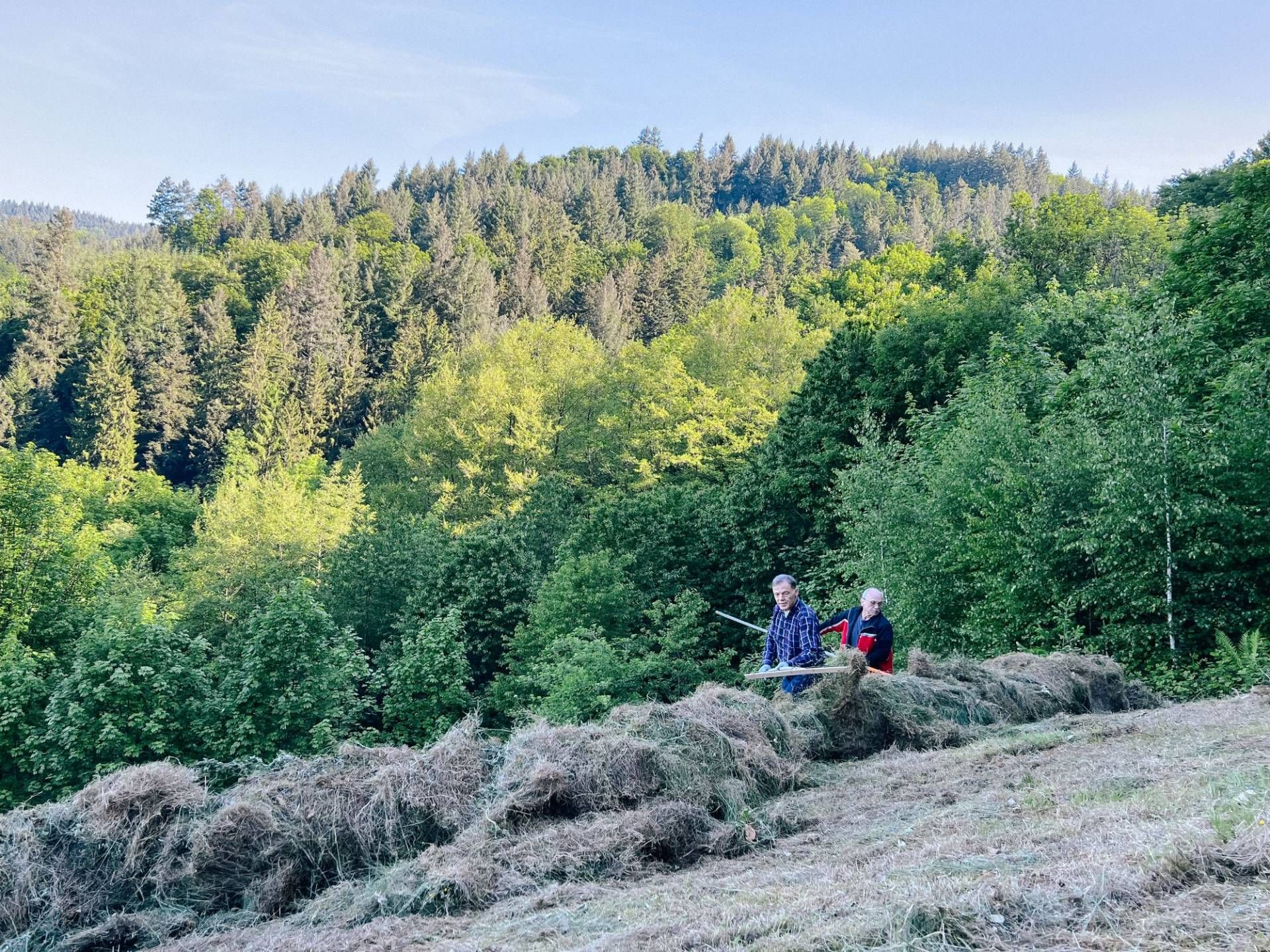 Ehrensache Natur in Lautenbach, Foto: Lilli Wahli
