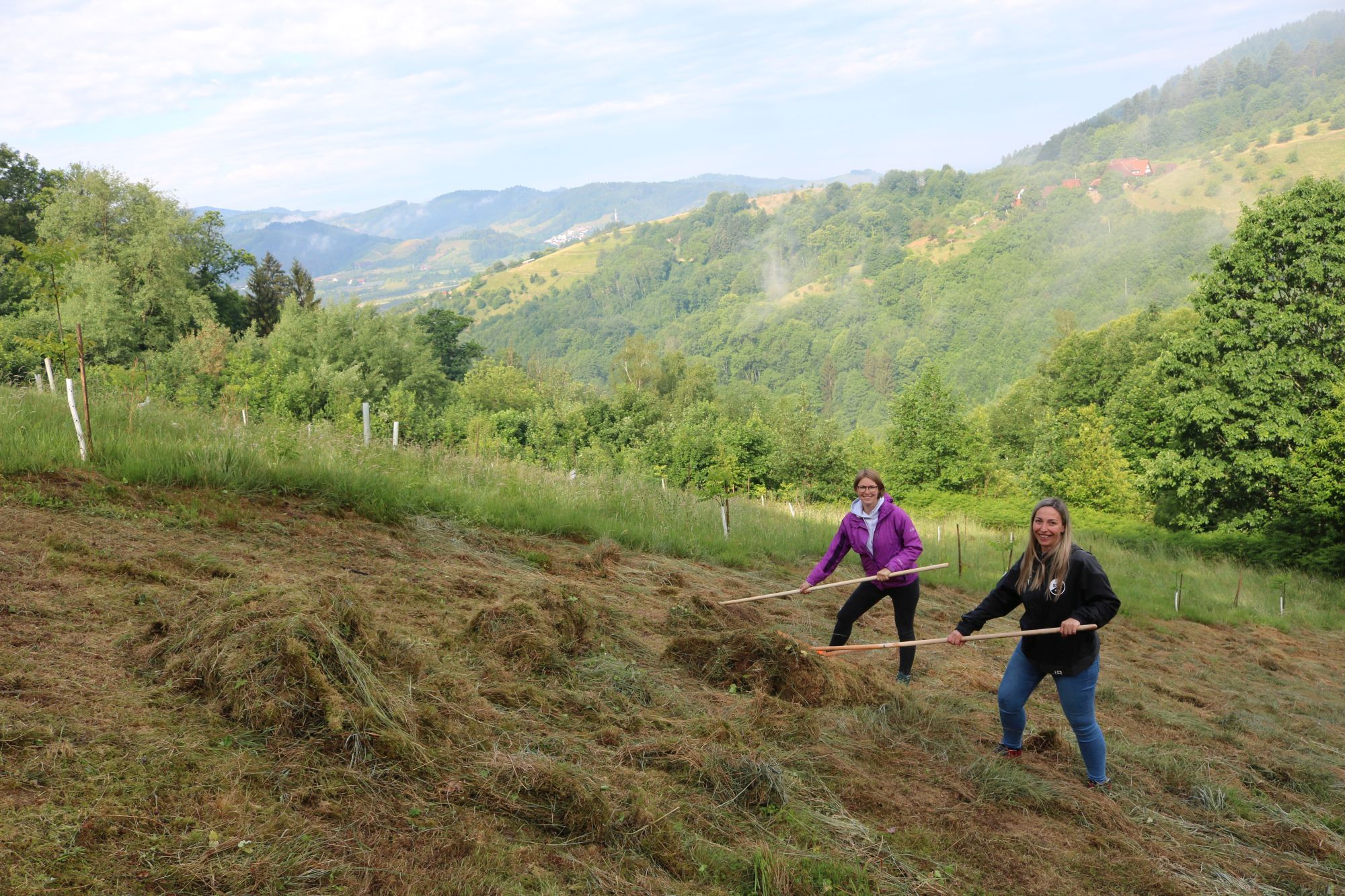 Zwei Frauen rechen gemähtes Gras auf einer Wiese an einem steilen Hang im Schwarzwald zusammen.