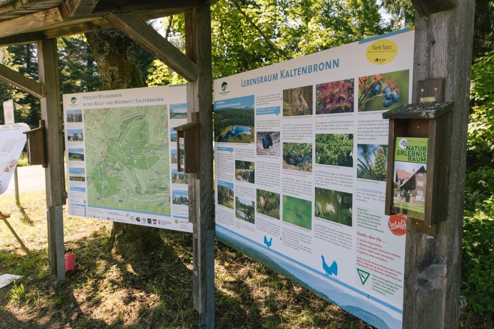 neue Infotafeln Kaltenbronn