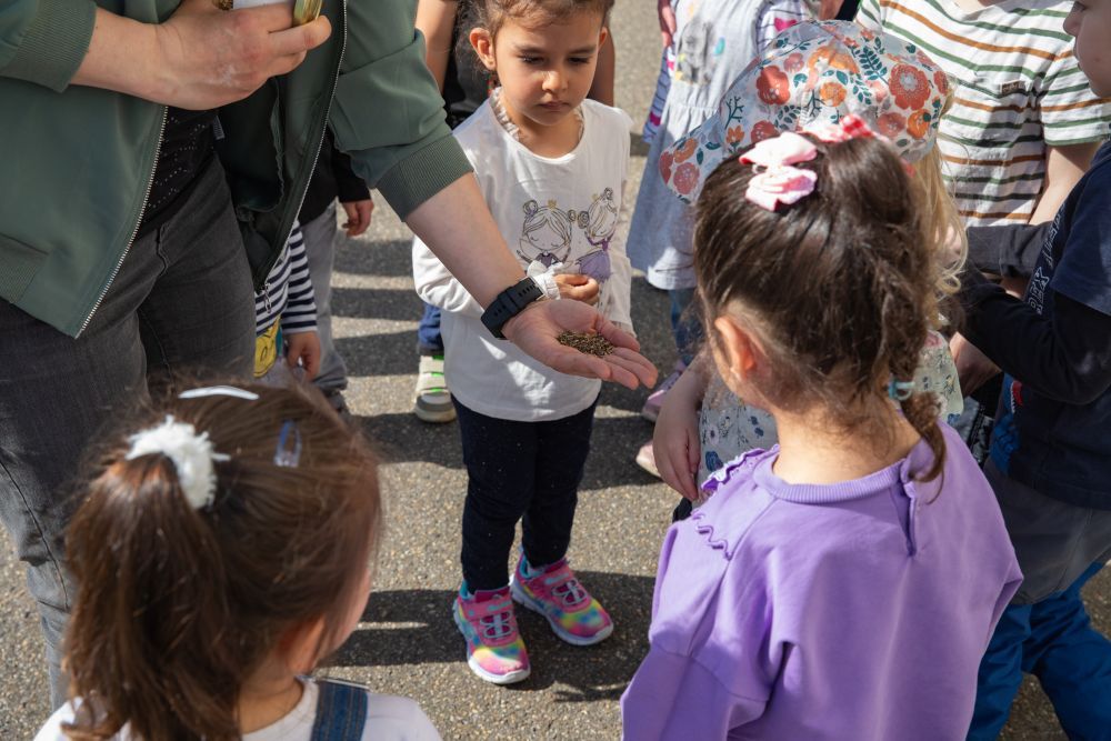 Kinder schauen sich Saatgut an.