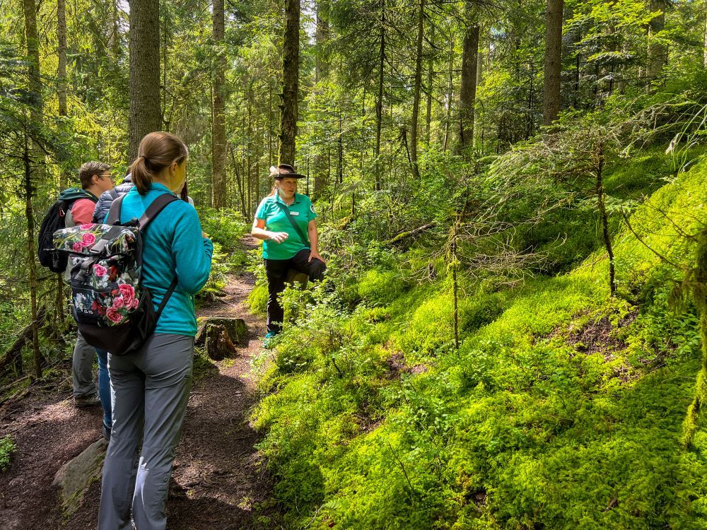 Schwarzwald-Guide mit Gruppe in einem bemoosten Wald