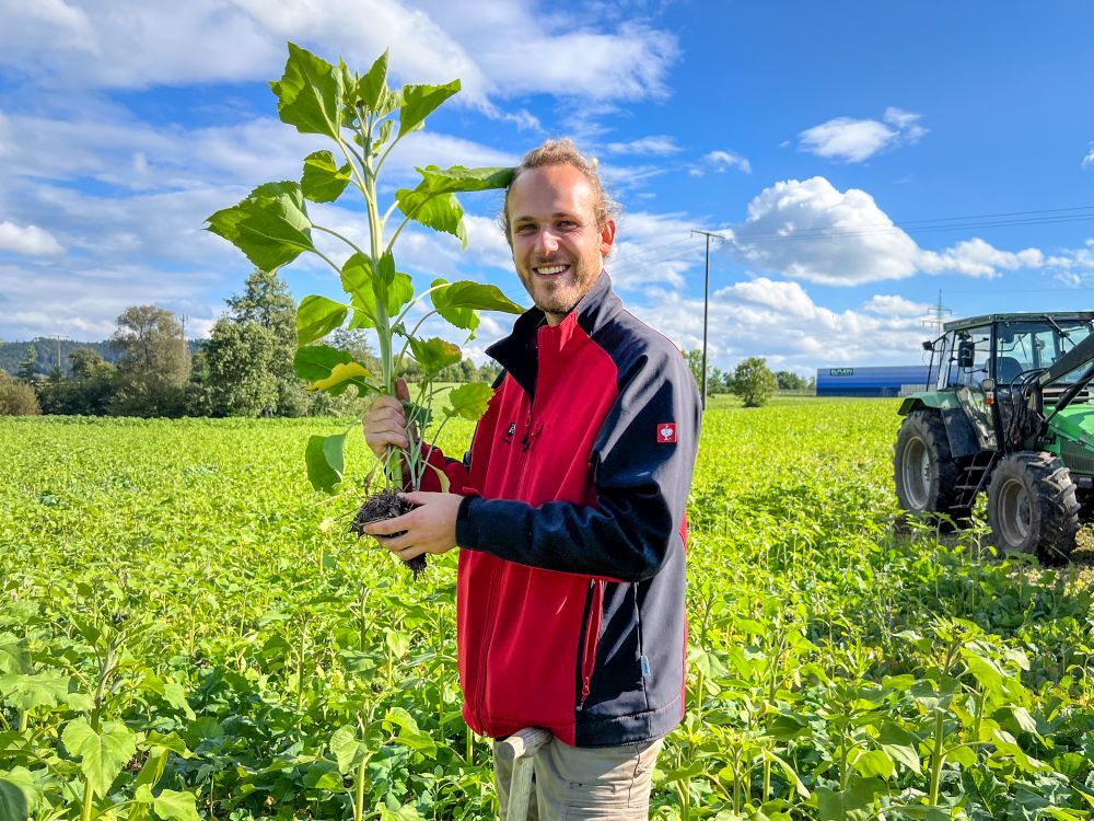 Ein Mann hält eine Pflanze mit humsreicher Erde in der Hand.