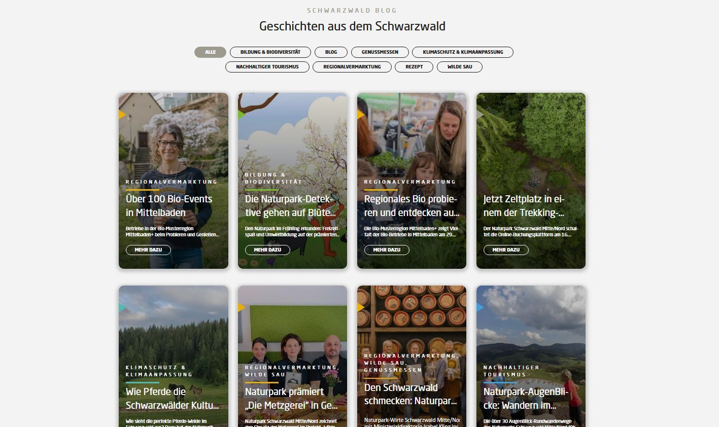 Kacheln zu den Blogartikeln