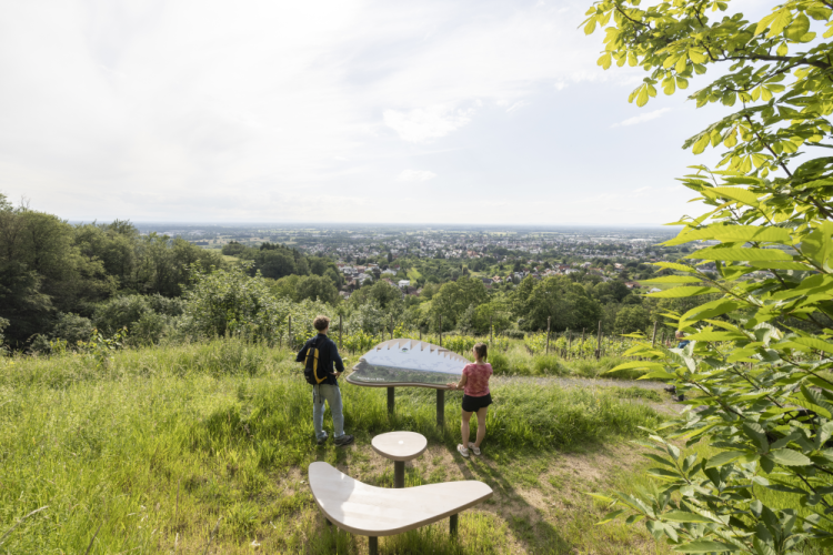 Pärchen am Naturpark-AugenBlick in Bühl