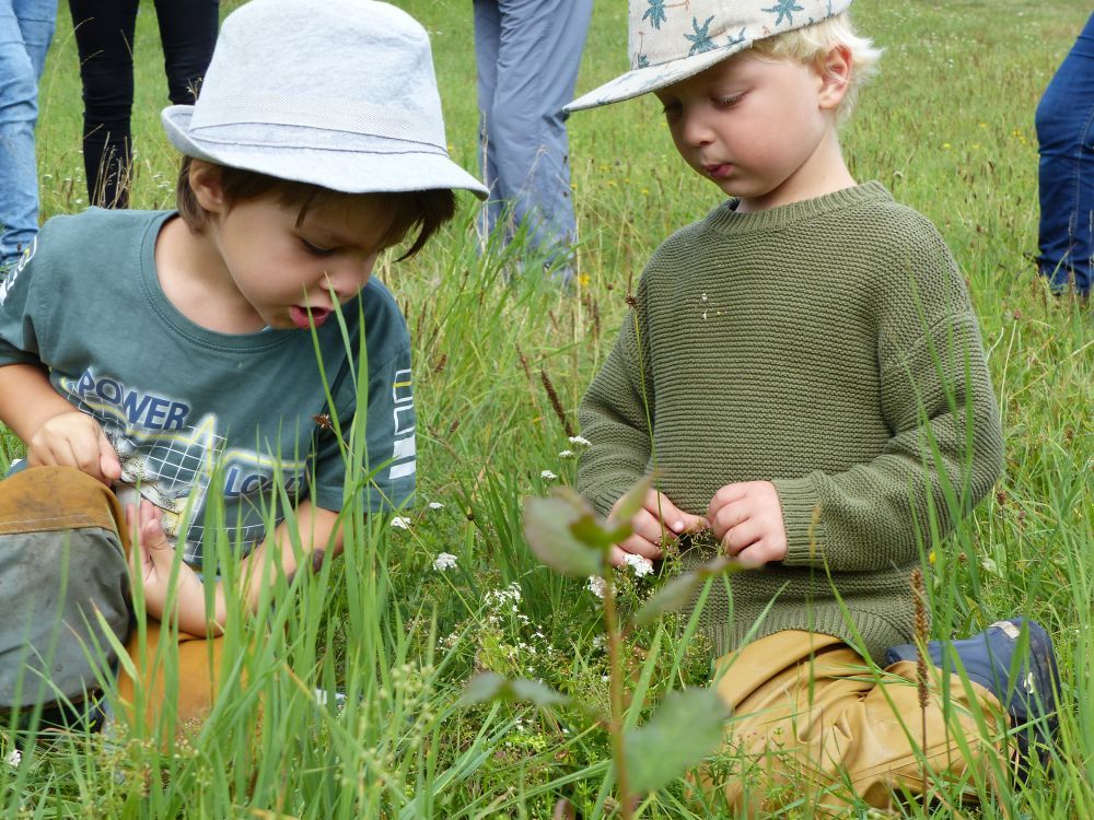 Zwei Kinder spielen in einer Wiese.