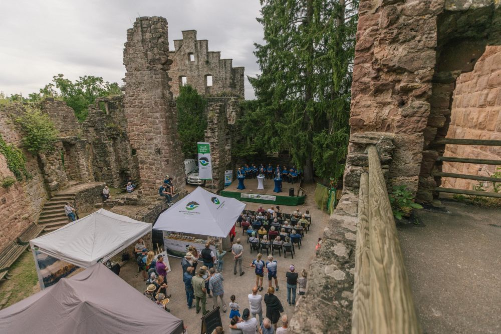 Naturpark-Markt in Ruine Zavelstein