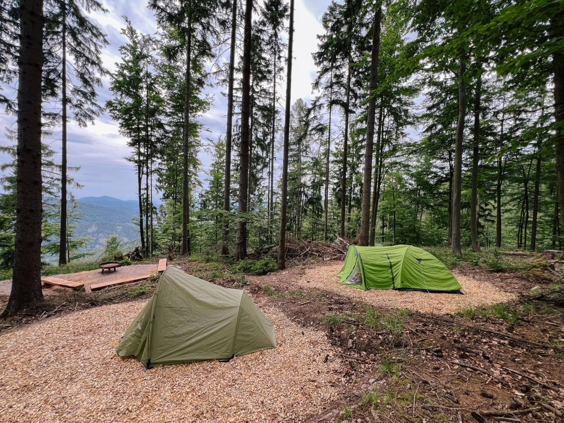 zwei Zelte auf vorbereiteten Hackschnitzelplätzen im Wald