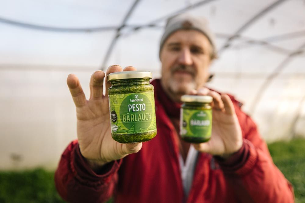 Pferde grasen auf einer Weide im Schwarzwald