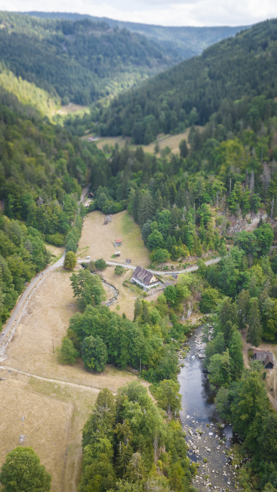 Hof an der Murg von Wald umgeben
