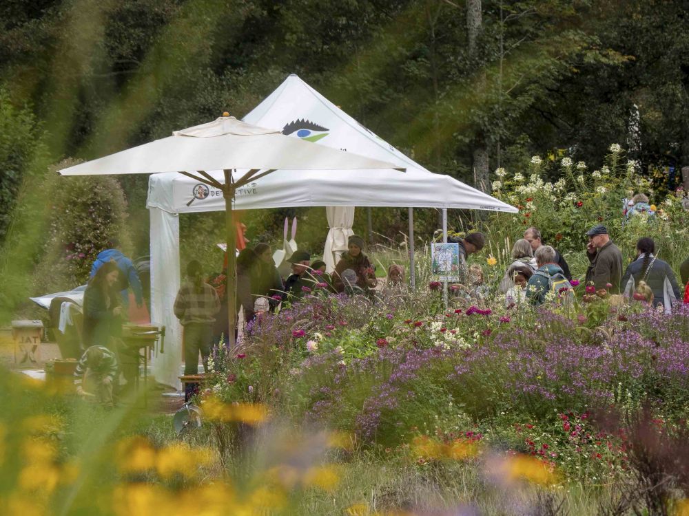Pavillon der Naturpark-Detektive auf der Gartenschau in Freudenstadt 2025