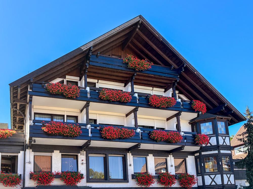 Landgasthof Hirsch von außen, mit roten Blumenkästen unterhalb der Fenster