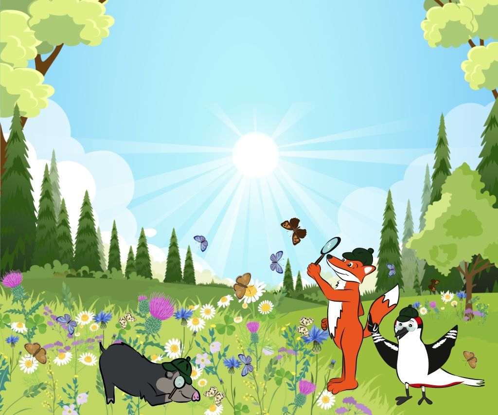 Die Naturpark-Detektive untersuchen eine Wildblumenwiese.