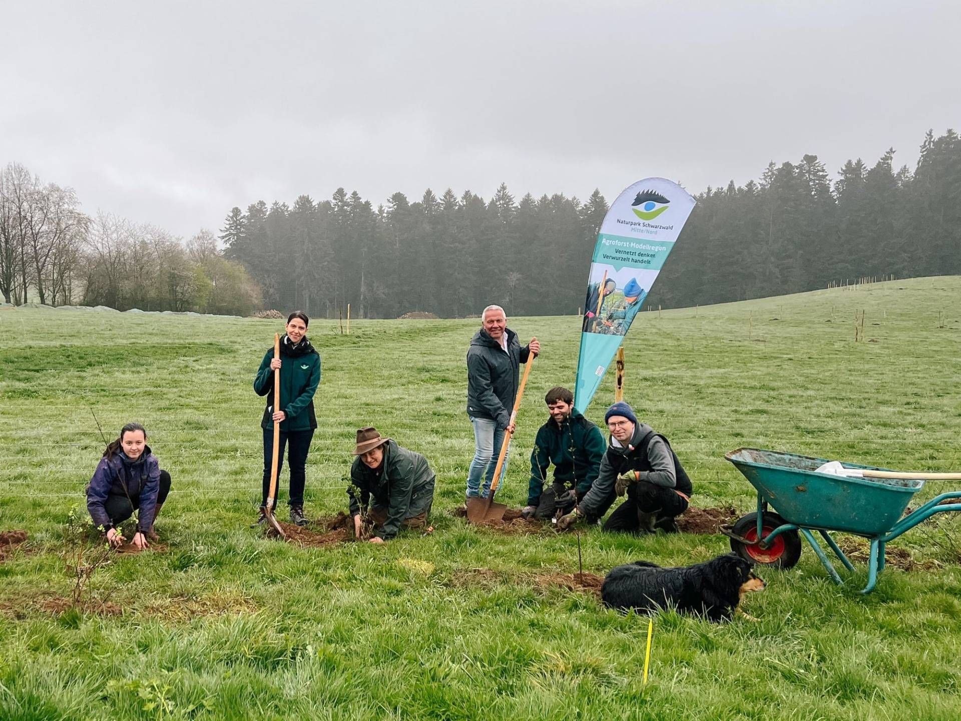 Beim Anlegen des Agroforst-Systems auf dem Hofbauernhof in Loßburg-Schömberg: die Stellv. Naturpark-Geschäftsführerin Yvonne Flesch und Loßburgs Bauamtsleiter Jochen Geßler (stehend) sowie Landwirt Andreas Hofstätter und Naturpark-Projektmanager Niklas Kullik mit Helferinnen (v. r.).