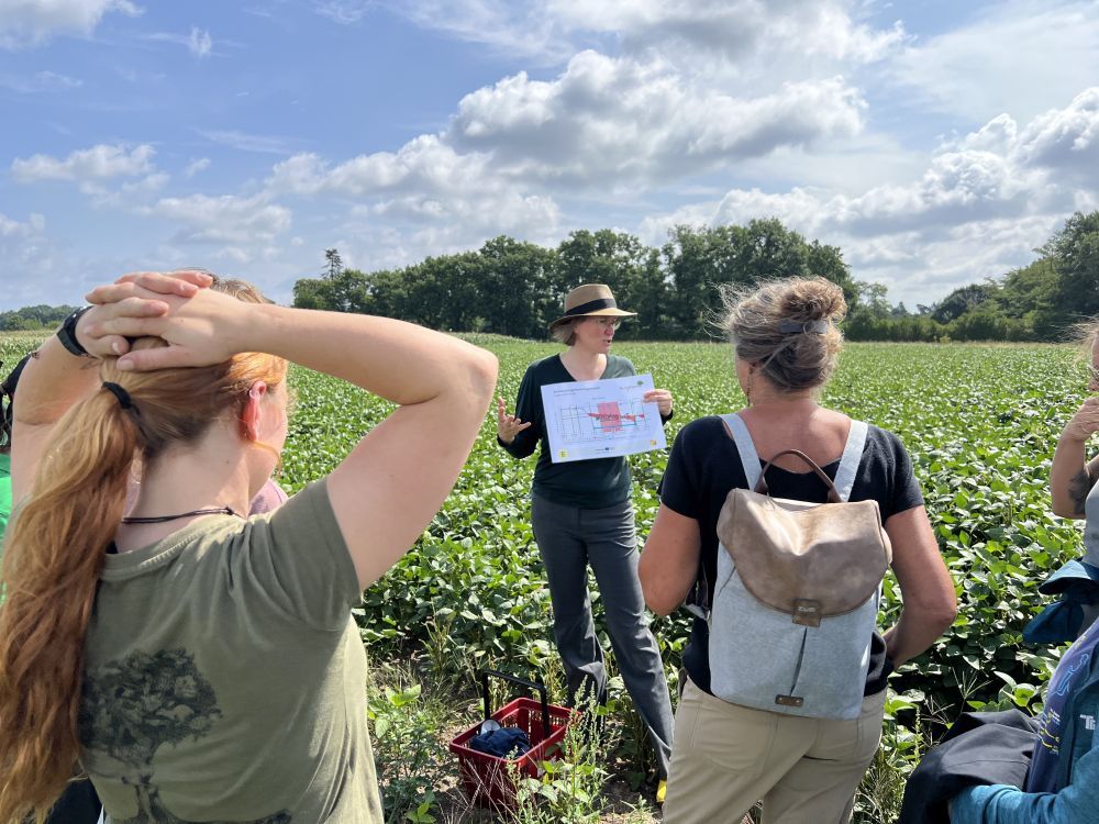Menschen in einem Feld