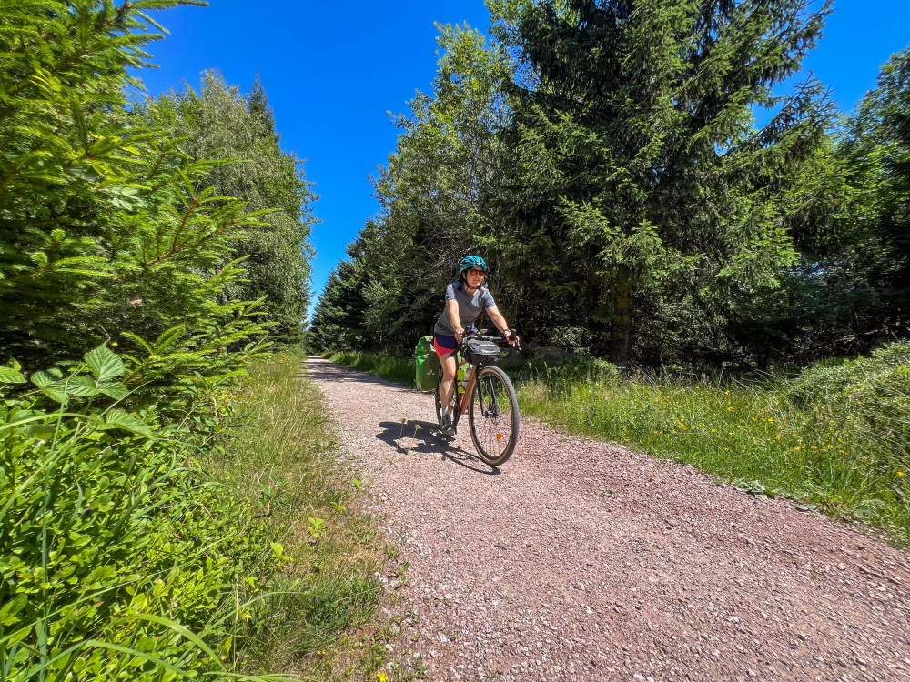 Gravel Bikerin fährt einen Schotterweg im Wald hinab.