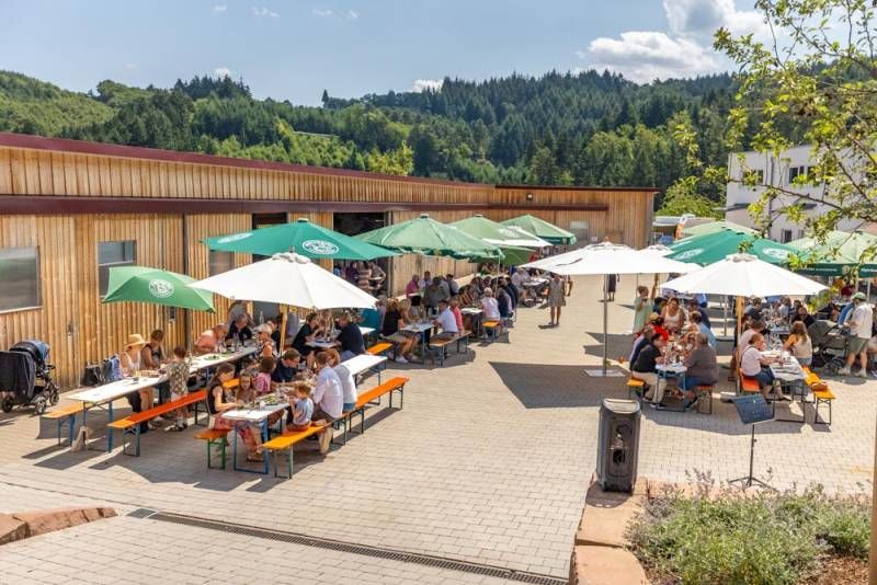Menschen sitzen beim Brunch an Bierbänken und unter Sonnenschirmen auf einem Bauernhof zusammen.