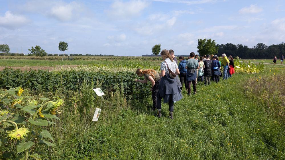 Menschen in einem Feld