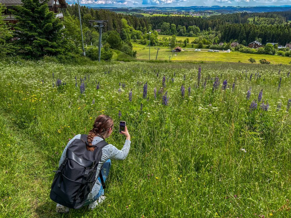 Junge Frau macht mit ihrem Handy ein Foto von einer Wildblumenwiese mit Blick auf Wald, einen Skilift und ein Dorf.