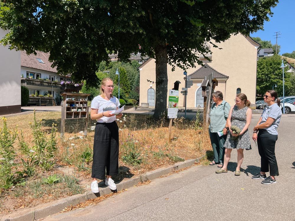 Menschen vor einer Wildblumenwiese mit Insektenhotel