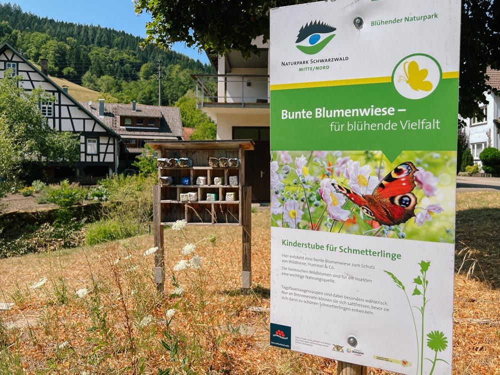 Infoschild zu Wildblumenwiese