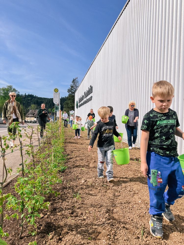 Kinder bringen Saatgut auf einer Fläche aus.