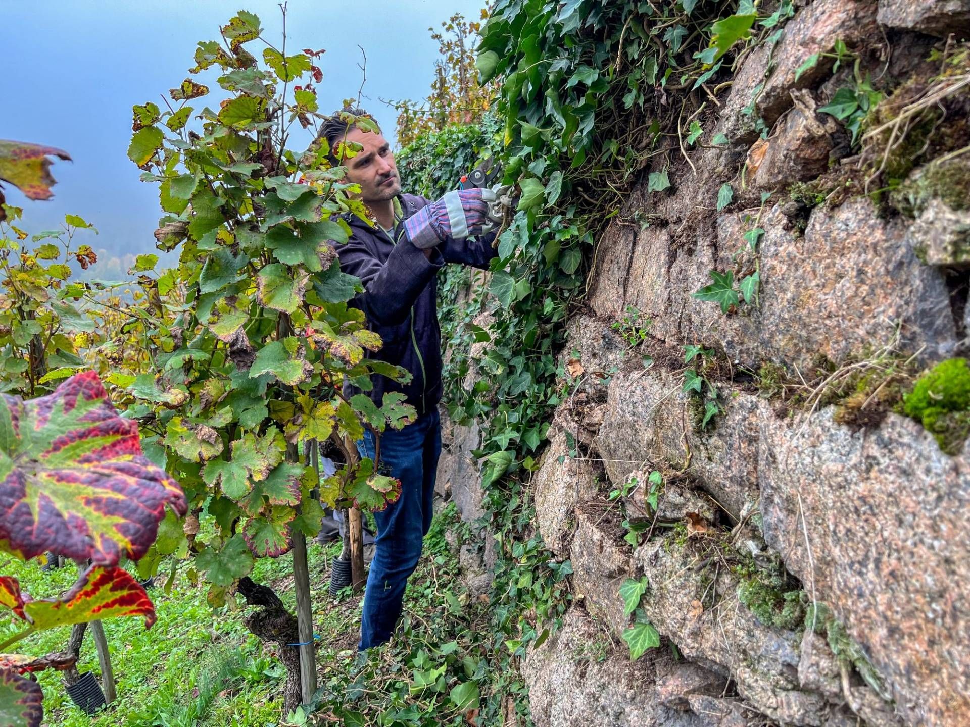 Ehrensache Natur in Bühlertal, Foto: Gundi Woll