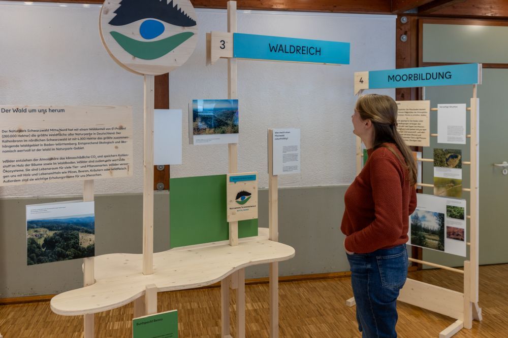 Eine Frau schaut sich die Ausstellung an