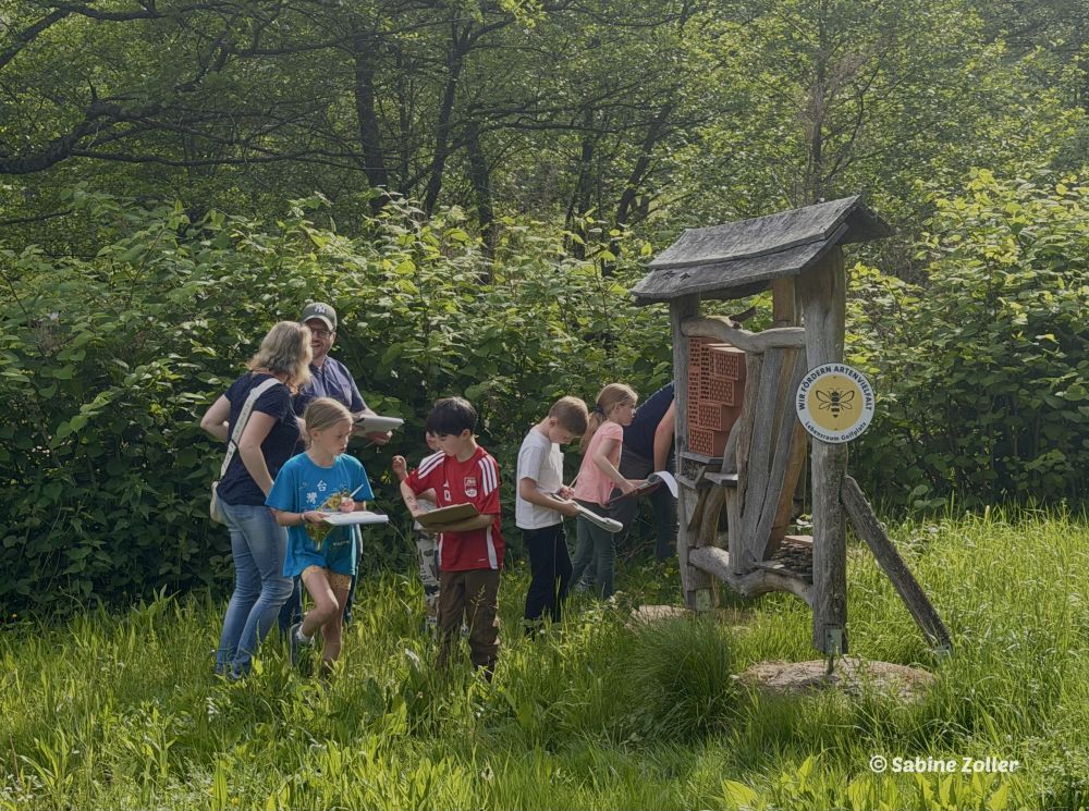 Kinder bei Insektenhotel auf einer Wiese