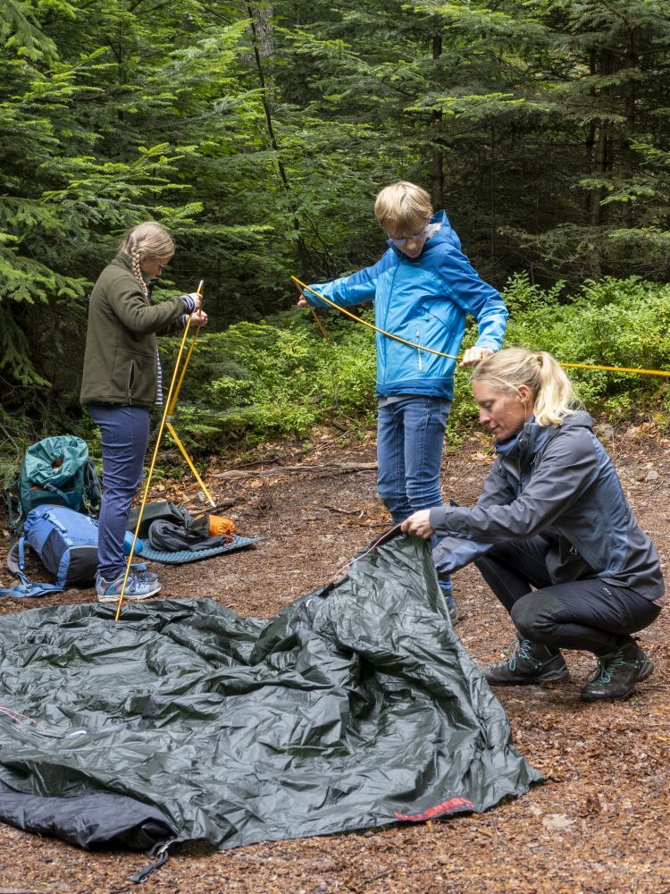 Menschen bauen im Wald ein Zelt ab.