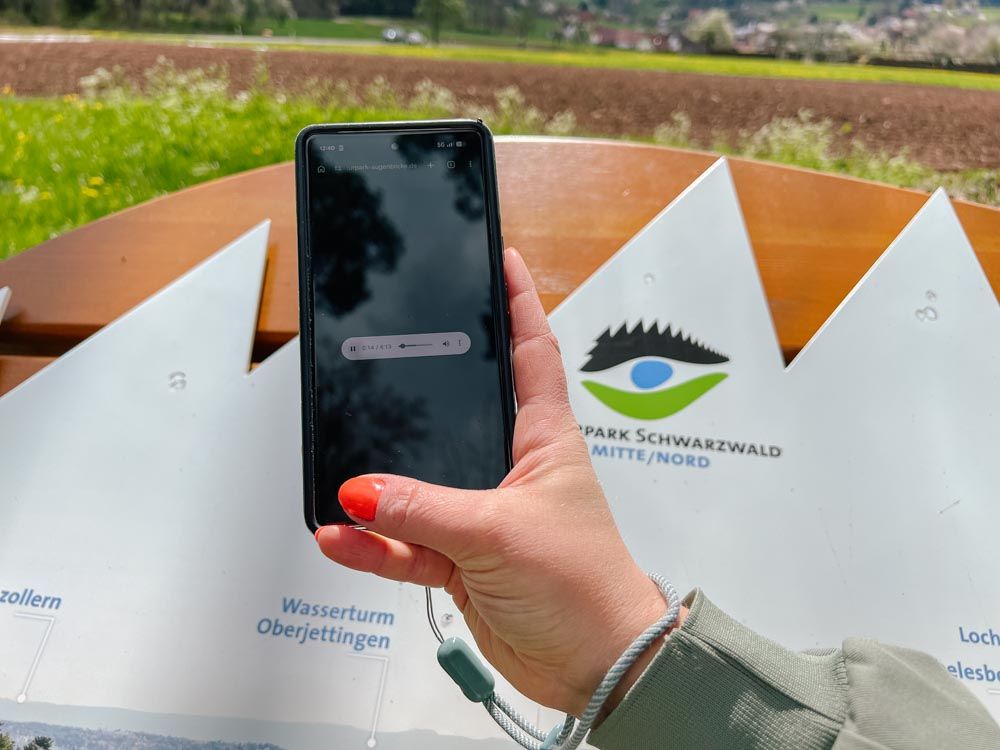 Auf einem Handy wird eine Audiodatei abgespielt.