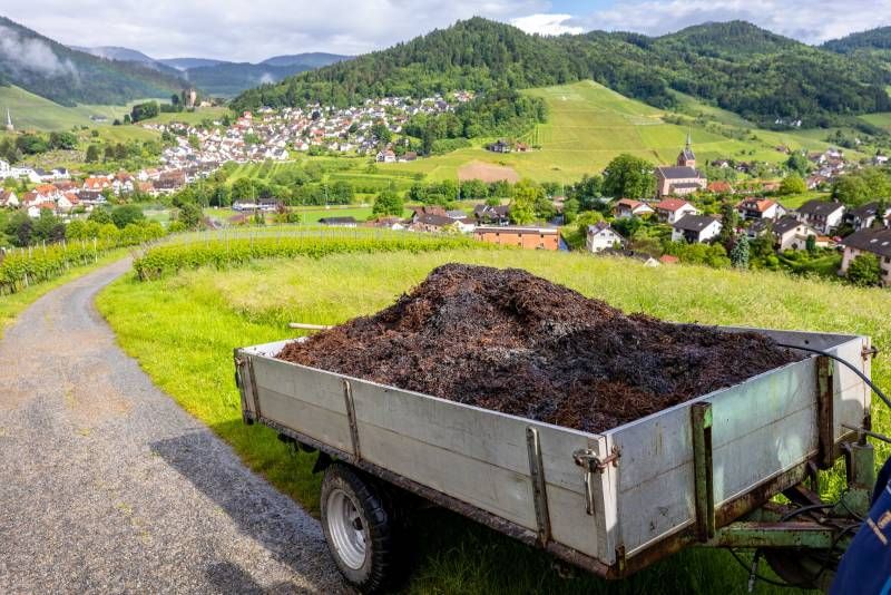 Foto: Johannes Nickel