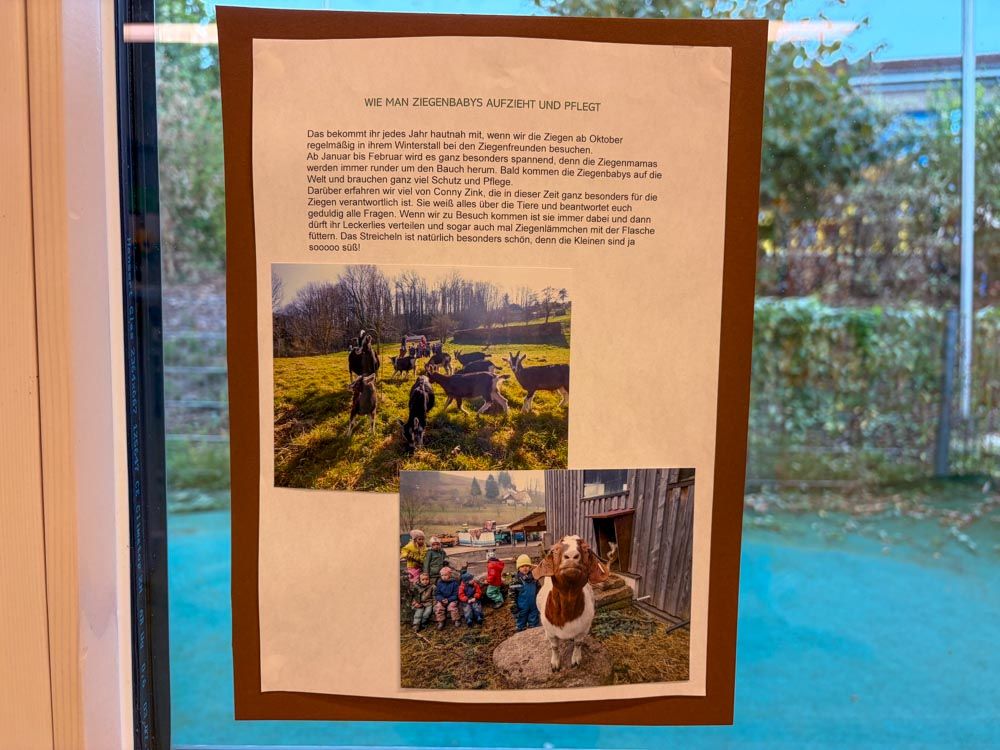 Plakat mit Foto und Text zum Ziegen-Projekt