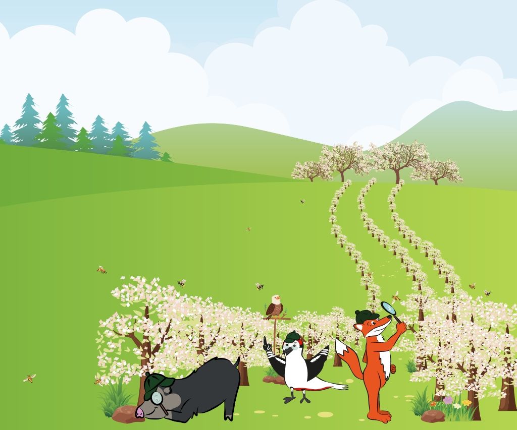 Die Naturpark-Detektive erforschen mit der Lupe eine blühende Obstwiese.