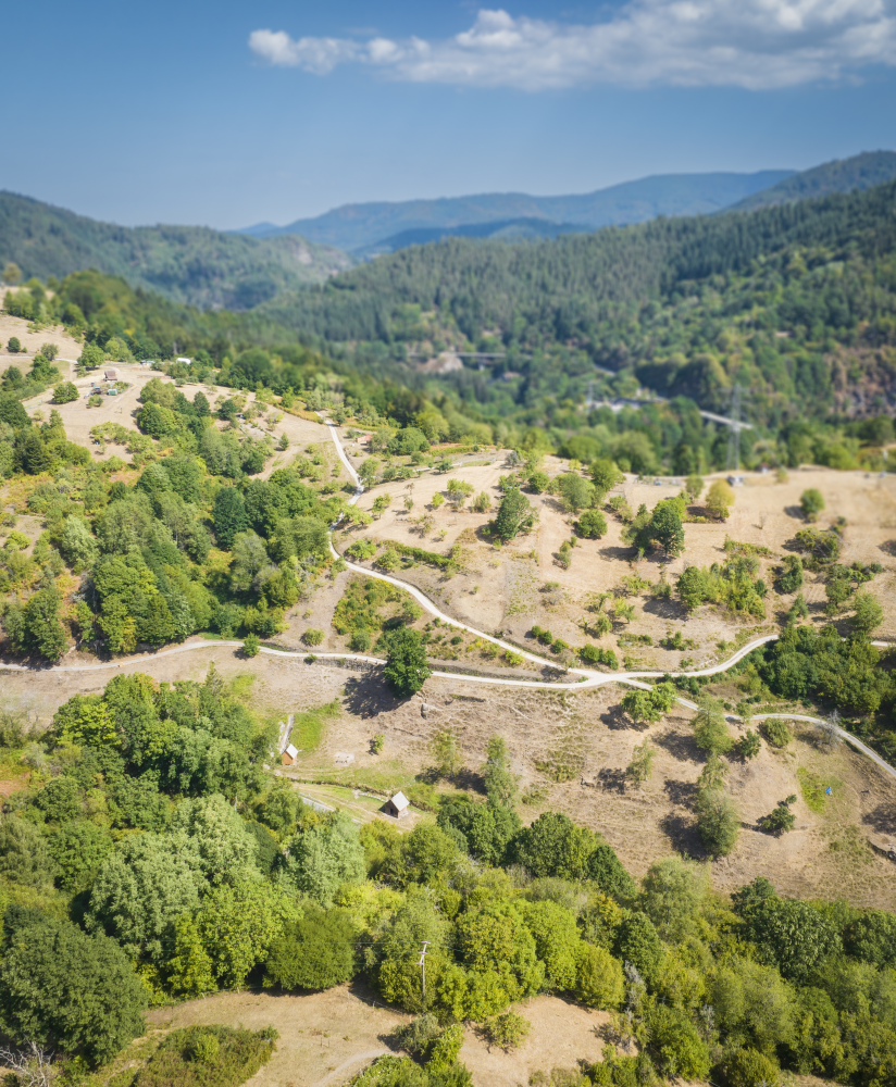 Wald- und Wiesenlandschaft