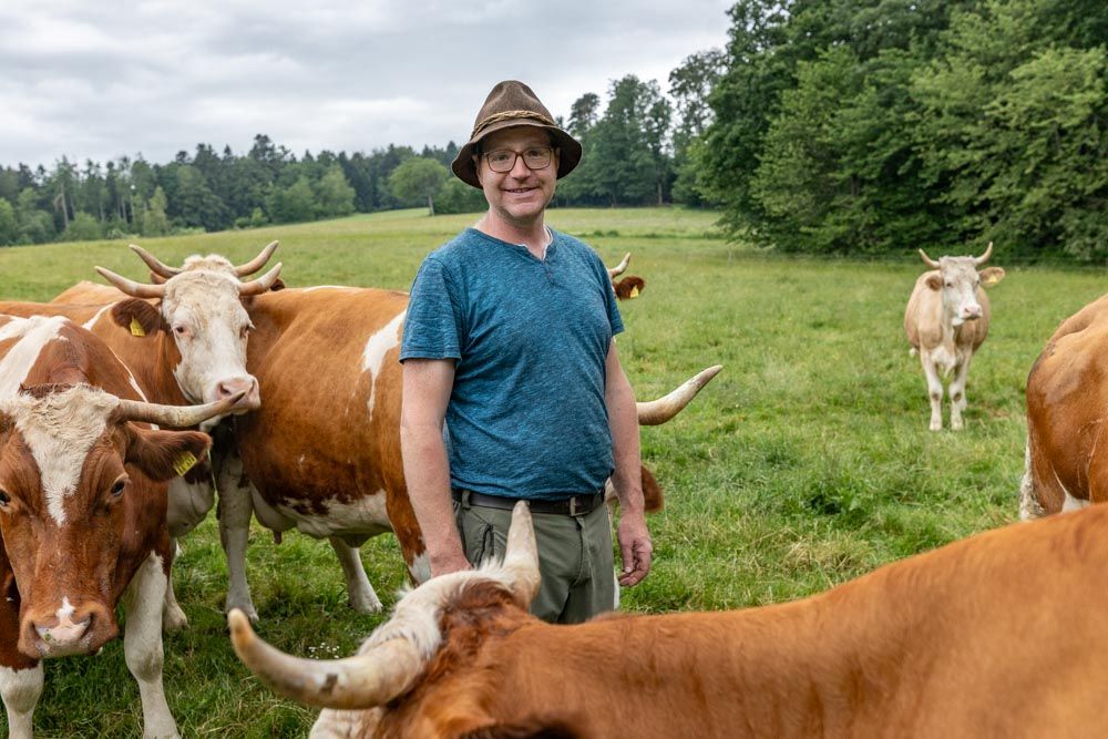 Carsten Göz mit Kühen auf der Weide