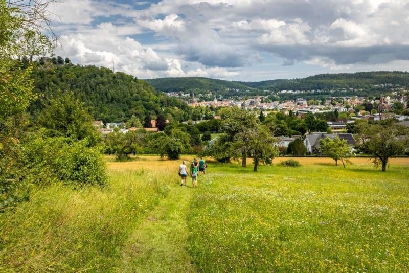 Eine Menschengruppe wandert über eine Streuobstwiese in Richtung eines Dorfes. Dieses ist umgeben von bewaldeten Schwarzwaldhügeln.