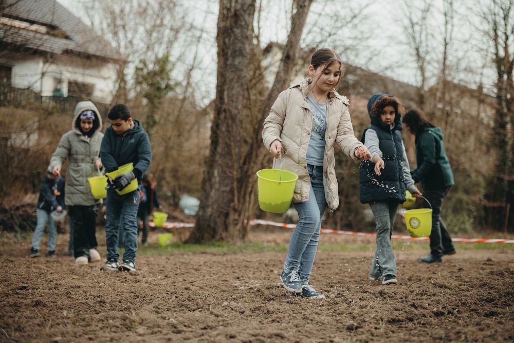Kinder bringen Saatgut auf einer Fläche aus.