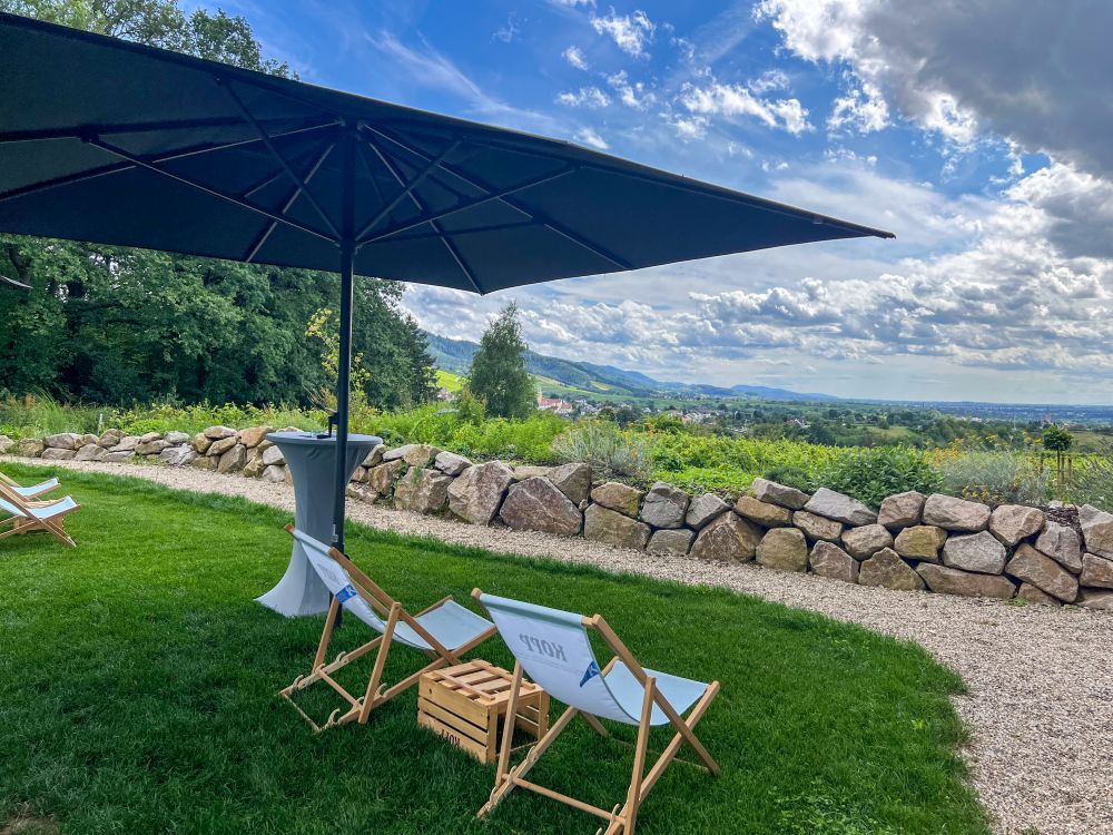 Liegestühle und Sonnenschirm mit Blick auf Weinreben und die Rheinebene